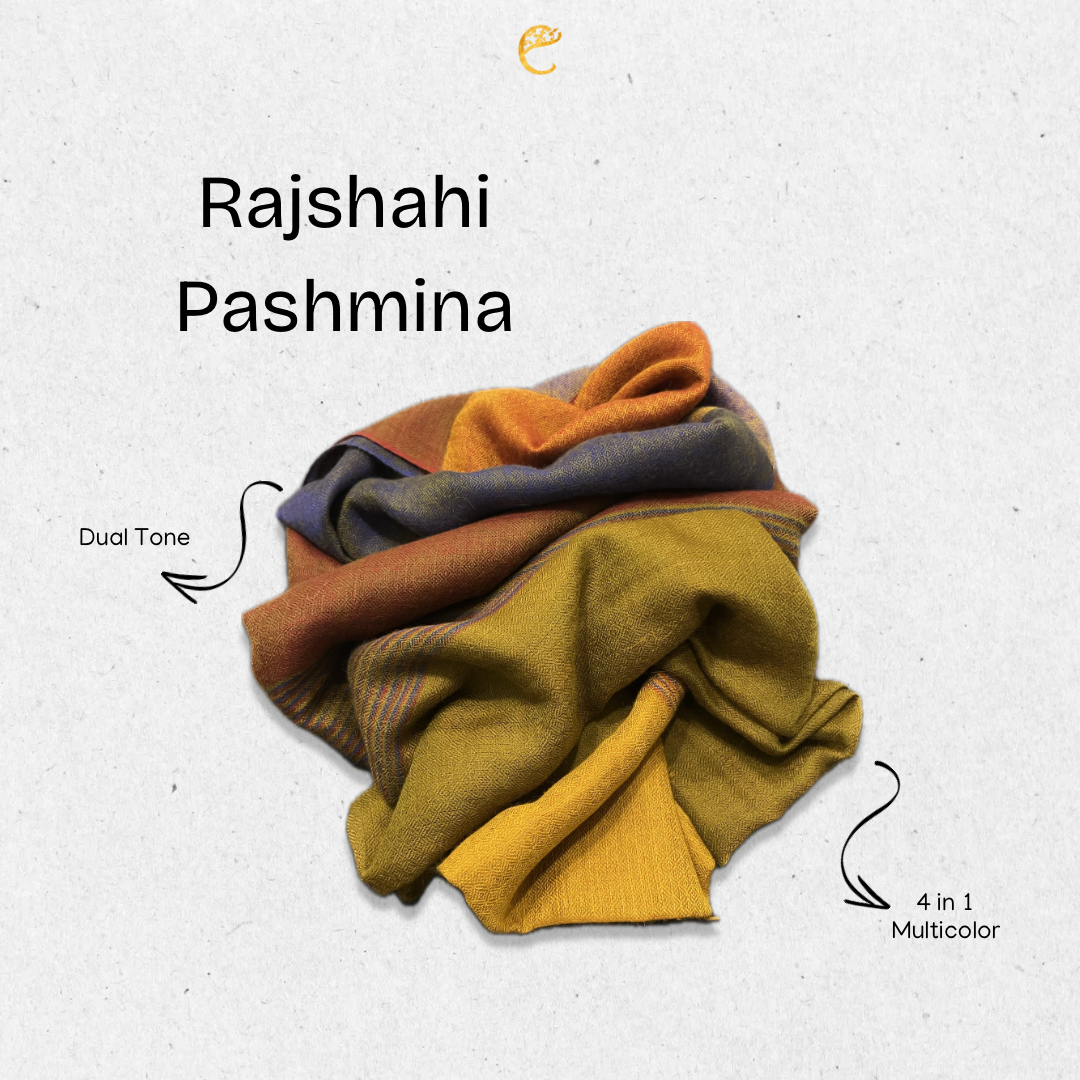 Pashmina Rajshahi 